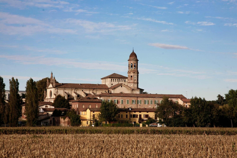 Exterior & Views 2, B&B Stradivari, Cremona