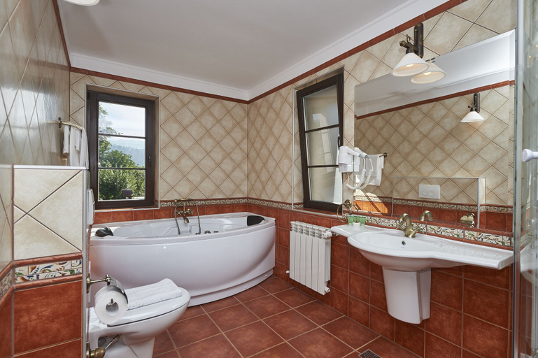 Bathroom 5, Conacul Ambient, Cristian