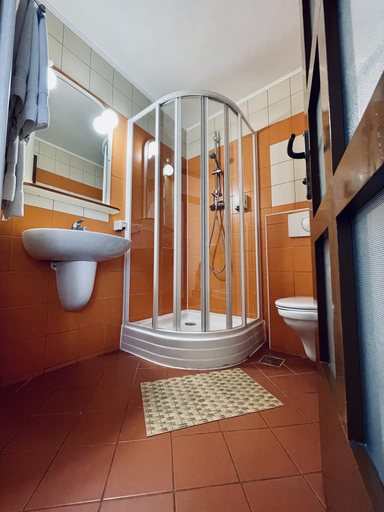 Bathroom 4, Pensiunea Luiza, Brasov