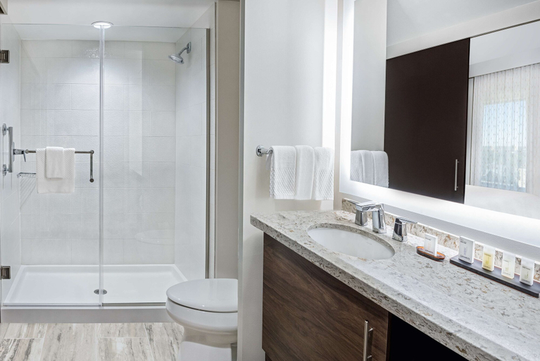 Bathroom 5, Embassy Suites by Hilton College Station, TX, Brazos