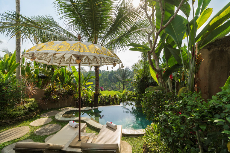 Swimming Pool 29