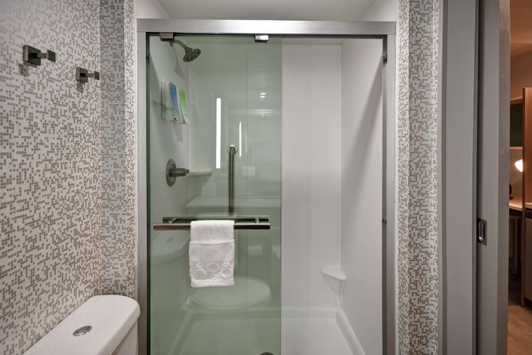 Bathroom 4, Home2 Suites by Hilton Atlanta Marietta, Cobb