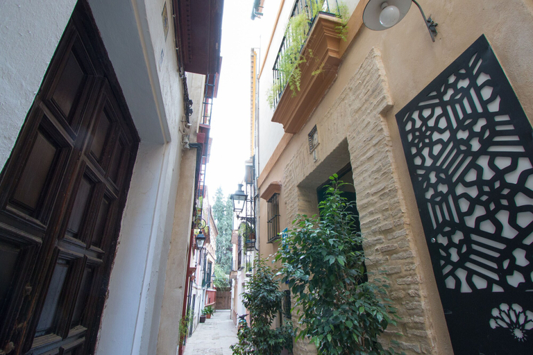 Exterior & Views 2, Apartamentos Suites Santa Cruz, Sevilla