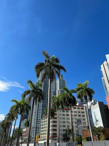 Exterior & Views 2, LA Experience, Miami-Dade