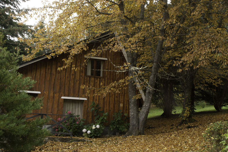 Exterior & Views 2, Cabañas Villa Pañil, Bariloche