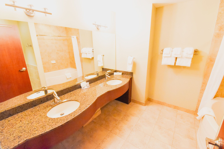 Bathroom 5, Canad Inns Destination Centre Garden City, Division No. 11