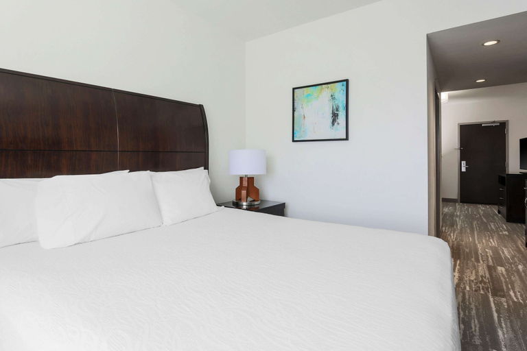 Bedroom 3, Hilton Garden Inn Norman, Cleveland