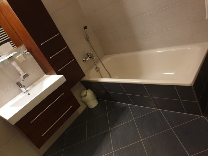 Bathroom 5, Berghotel Drei Brüder Höhe, Erzgebirgskreis