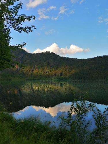 4, Buhlhausl, Gmunden