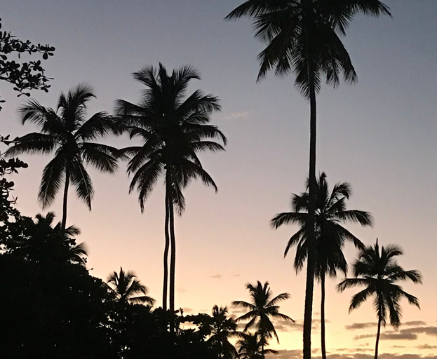 Others 5, Go Las Galeras Inn, Santa Bárbara de Samaná