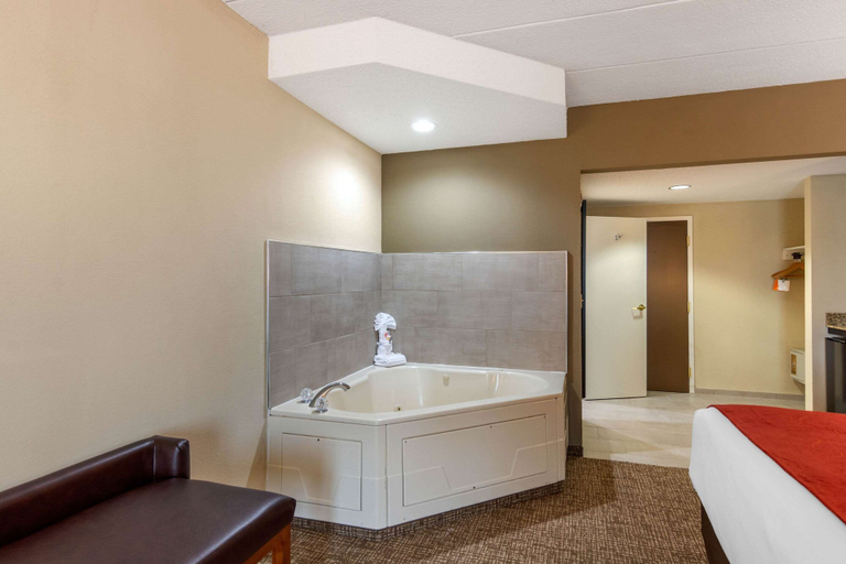 Bathroom 4, Comfort Suites South Park, Colonial Heights