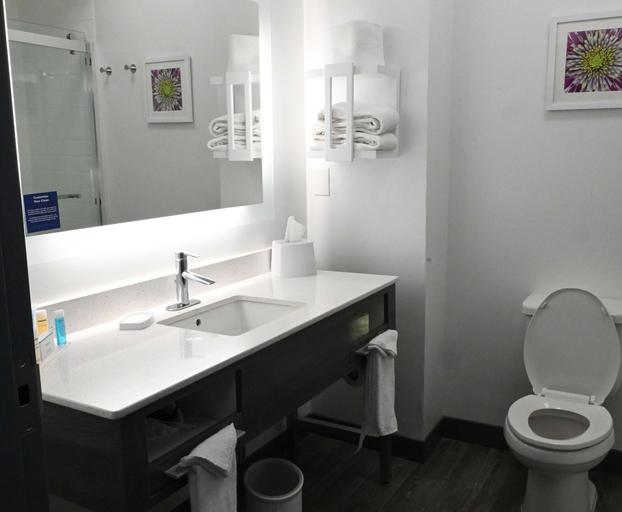 Bathroom 4, Hampton Inn Valdosta/Lake Park Area, Lowndes