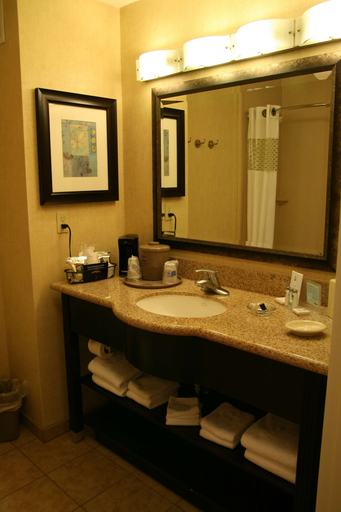 Bathroom 4, Hampton Inn & Suites Barstow, San Bernardino