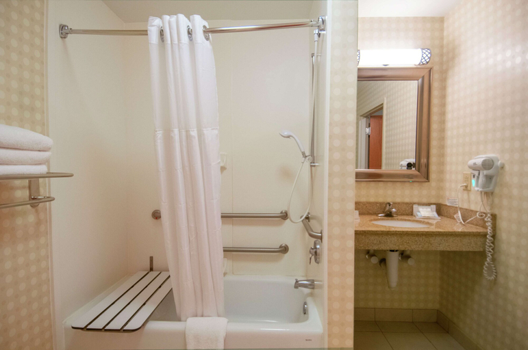 Bathroom 5, Hilton Garden Inn Jackson Pearl , Rankin