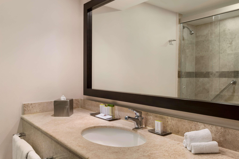Bathroom 4, DoubleTree by Hilton Hotel Queretaro, Querétaro