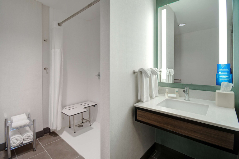 Bathroom 4, Hilton Garden Inn Terre Haute, Vigo