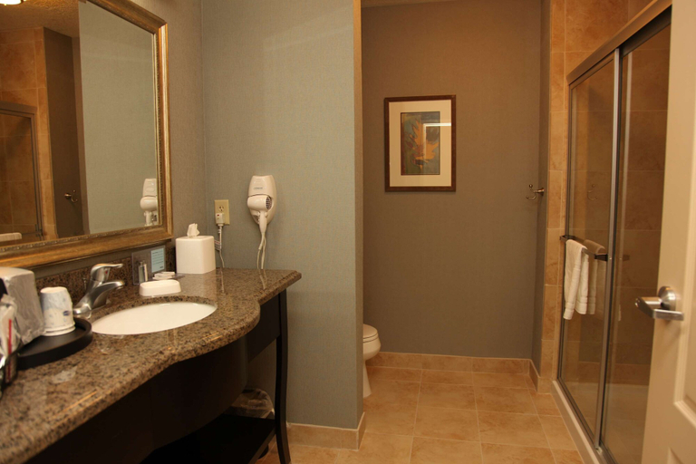 Bathroom 5, Hampton Inn & Suites Carlsbad, Eddy