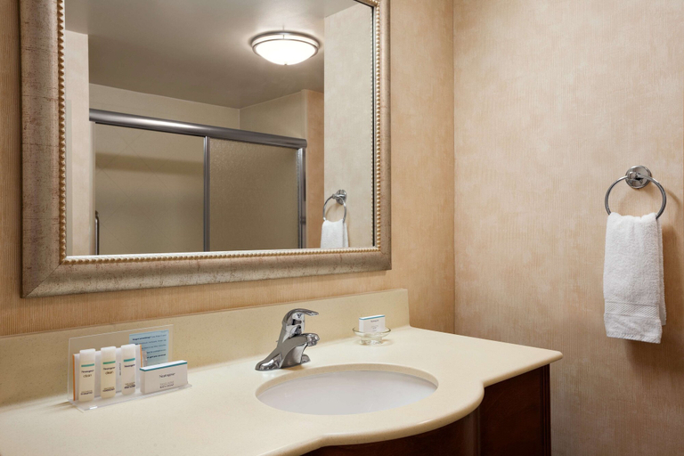 Bathroom 4, Hampton Inn Geneva, Ontario