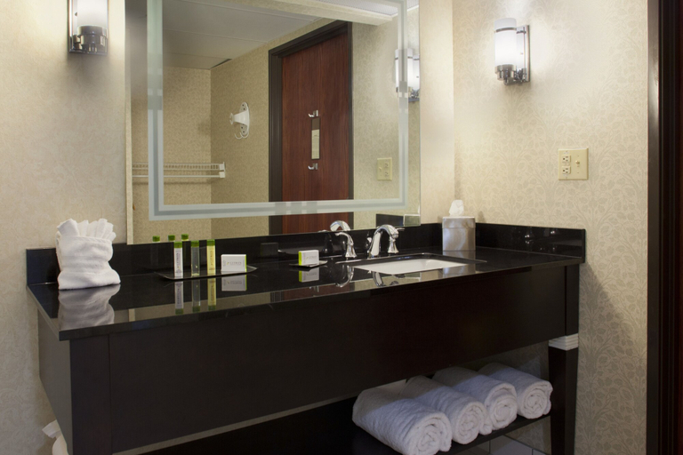 Bathroom 5, DoubleTree by Hilton Springdale, Washington