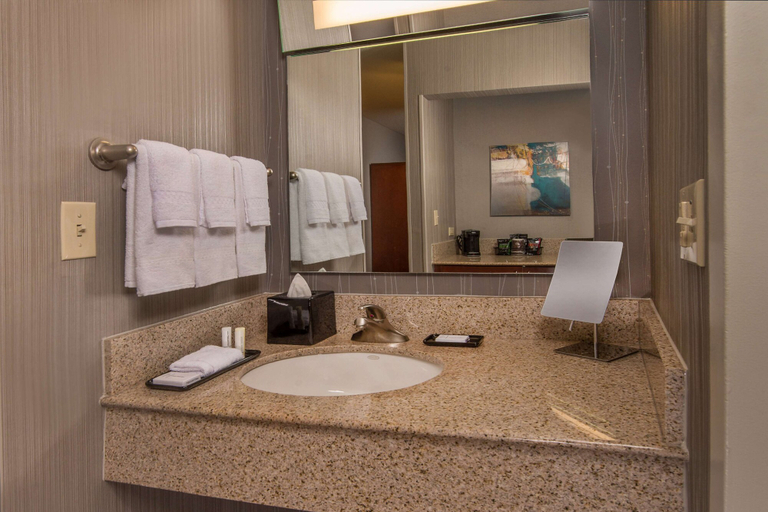 Bathroom 4, Sonesta Select Arlington Rosslyn, Arlington