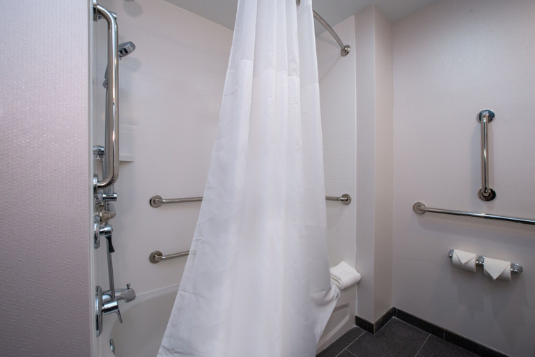 Bathroom 4, Hampton Inn & Suites Winston-Salem Downtown, Forsyth
