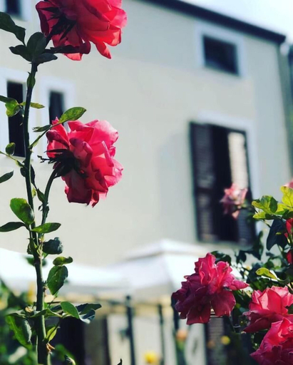 Exterior & Views 2, Antico Borgo San Francesco, Messina