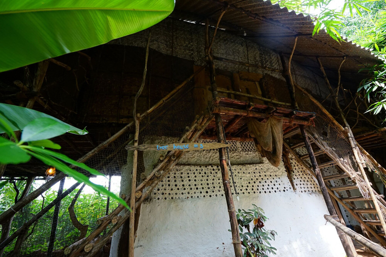 Exterior & Views 2, Saraya Art Cafe B&B, North Goa