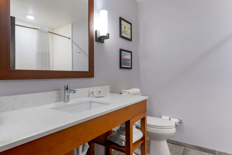 Bathroom 4, Comfort Suites Paducah Mall Area, McCracken
