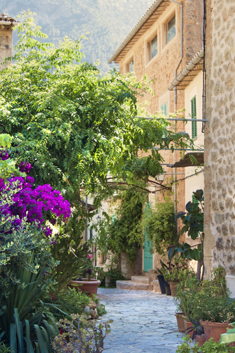 Exterior & Views 2, Es Moli Hotel, Baleares