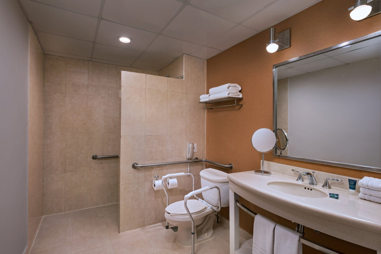 Bathroom 4, Four Points by Sheraton Galerias Monterrey, Monterrey