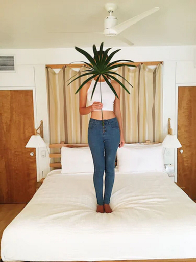 Bedroom 3, The Standard Spa Miami Beach, Miami-Dade