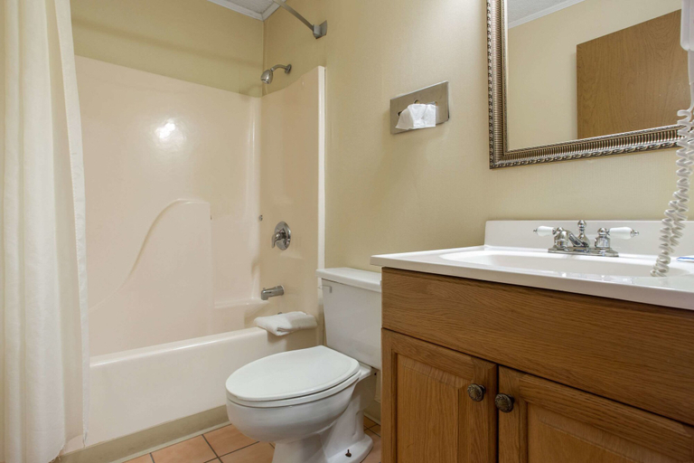 Bathroom 4, Rodeway Inn Asheville, Buncombe