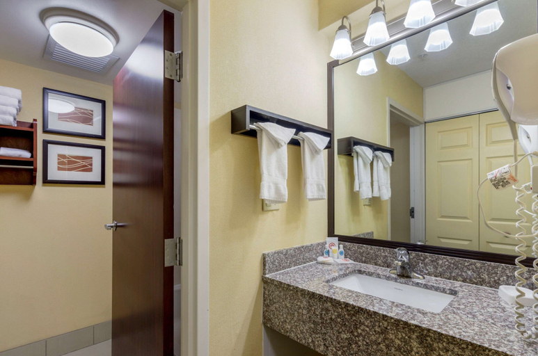 Bathroom 5, Comfort Inn & Suites Hillsville I-77, Carroll