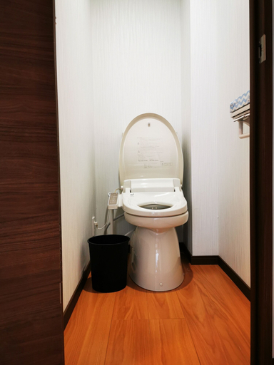 Bathroom 4, Apartment in Asakusa, Taitō