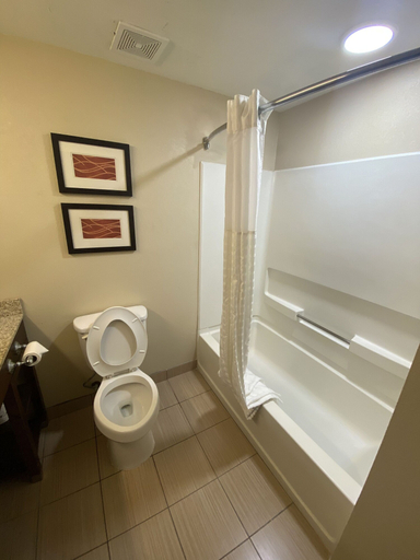 Bathroom 3, Comfort Inn Opelika - Auburn, Lee