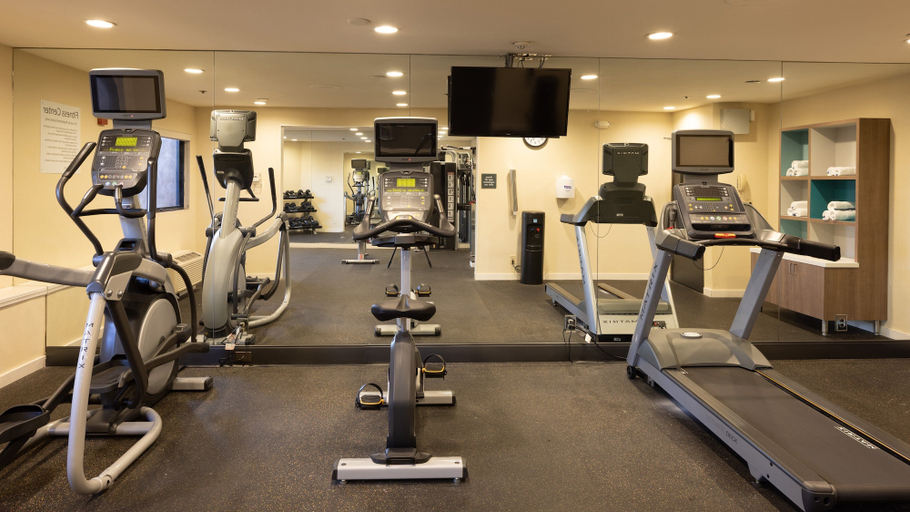 Others 2, Holiday Inn SANTA ANA-ORANGE CO. ARPT by IHG, Orange