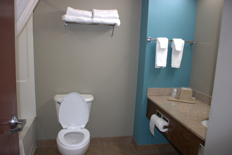 Bathroom 4, Super 8 by Wyndham Rainsville, De Kalb