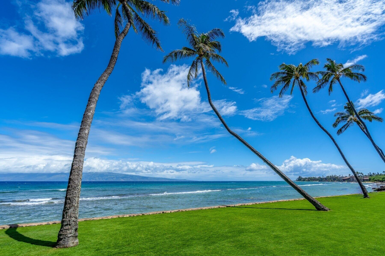 Others 3, Papakea H404 3 Bedroom Condo by RedAwning, Maui