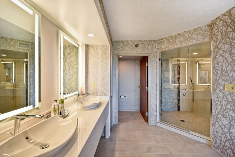 Bathroom 4, Embassy Suites by Hilton Omaha Downtown Old Market, Douglas