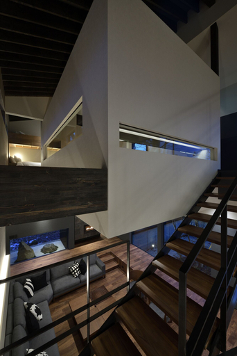Others 4, Nivia, Hakuba