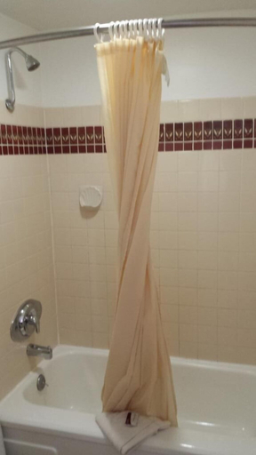 Bathroom 4, Executive Inn & Suites, Lake