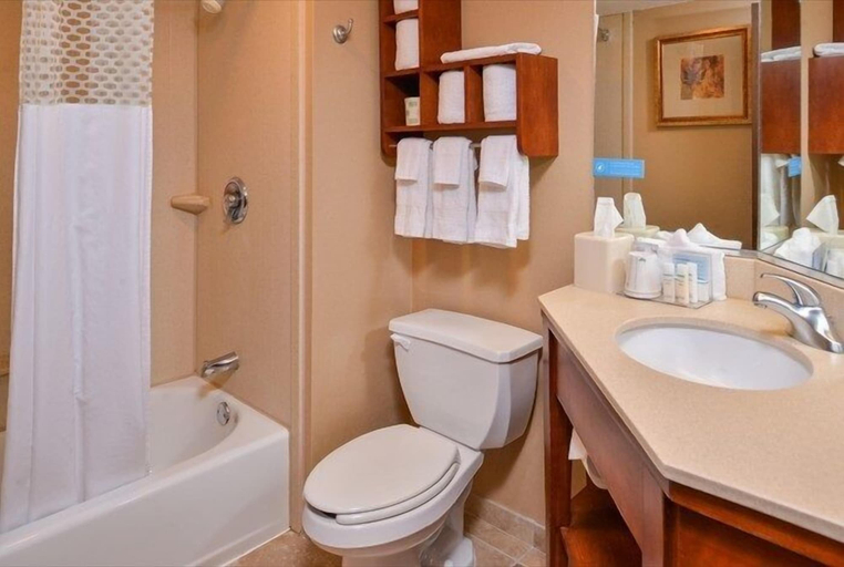 Bathroom 2, McKnight Hotel, Allegheny