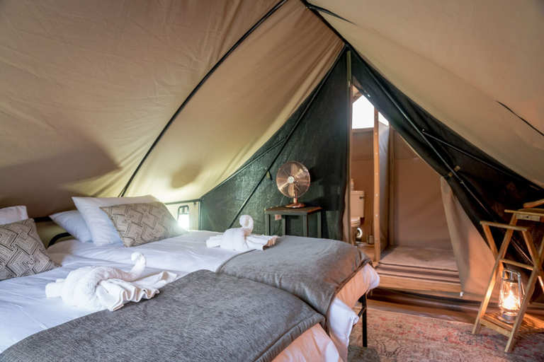 Bedroom 3, Bundox Explorer Camp, Mopani