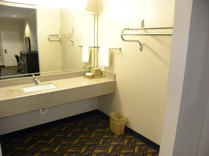 Bathroom 3, Palace Inn Kingwood, Houston