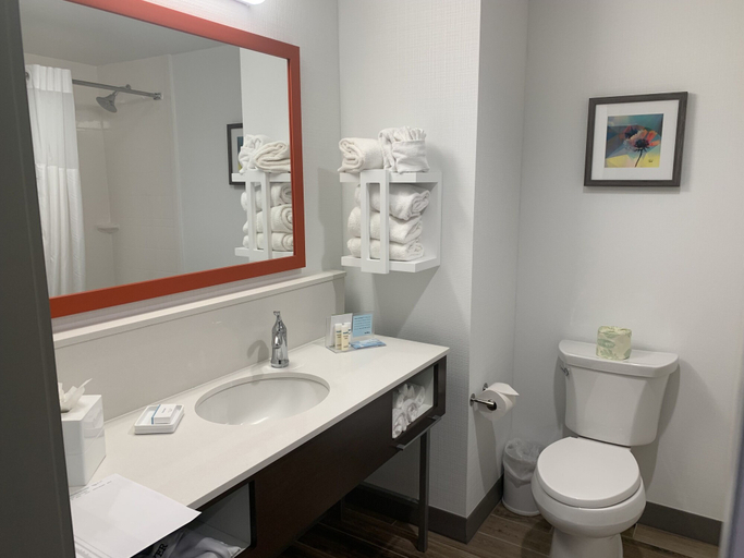 Bathroom 4, Hampton Inn & Suites Cedar Park North Austin, Williamson