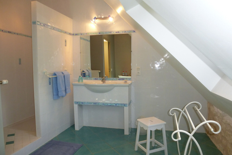 Bathroom 5, Chambre d'hôte Domaine de la Maison Neuve, Indre-et-Loire