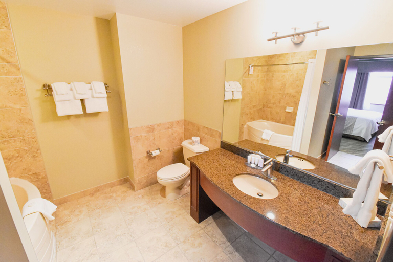 Bathroom 5, Canad Inns Destination Centre Garden City, Division No. 11