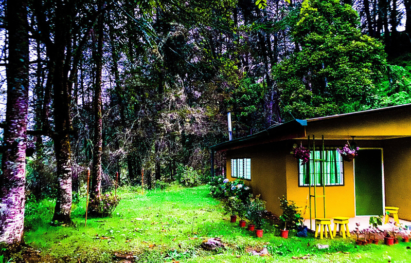 Exterior & Views 5, River Nest Lodge Costa Rica, Pérez Zeledón