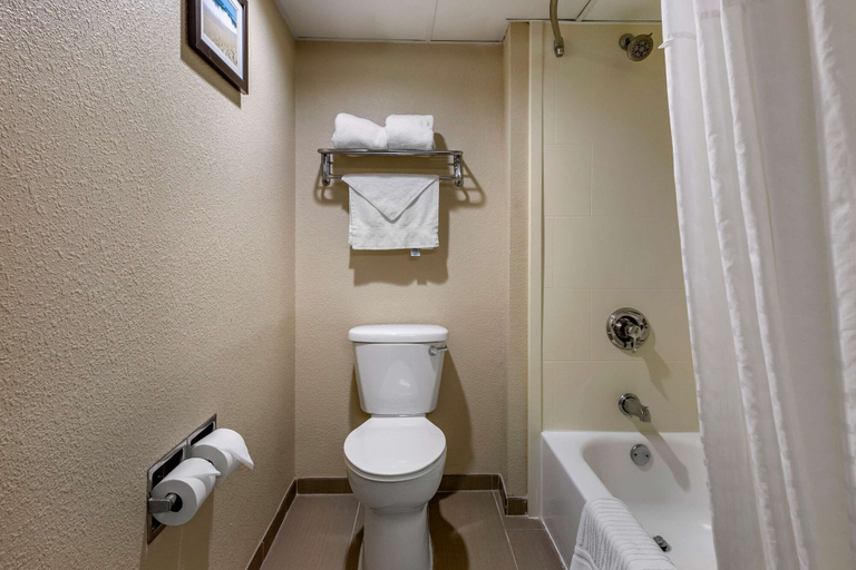 Bathroom 3, Comfort Inn Edison - New Brunswick, Middlesex