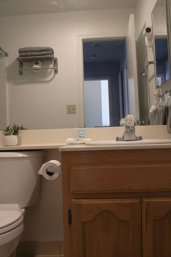 Bathroom 4, Lodge on the River, Mohave